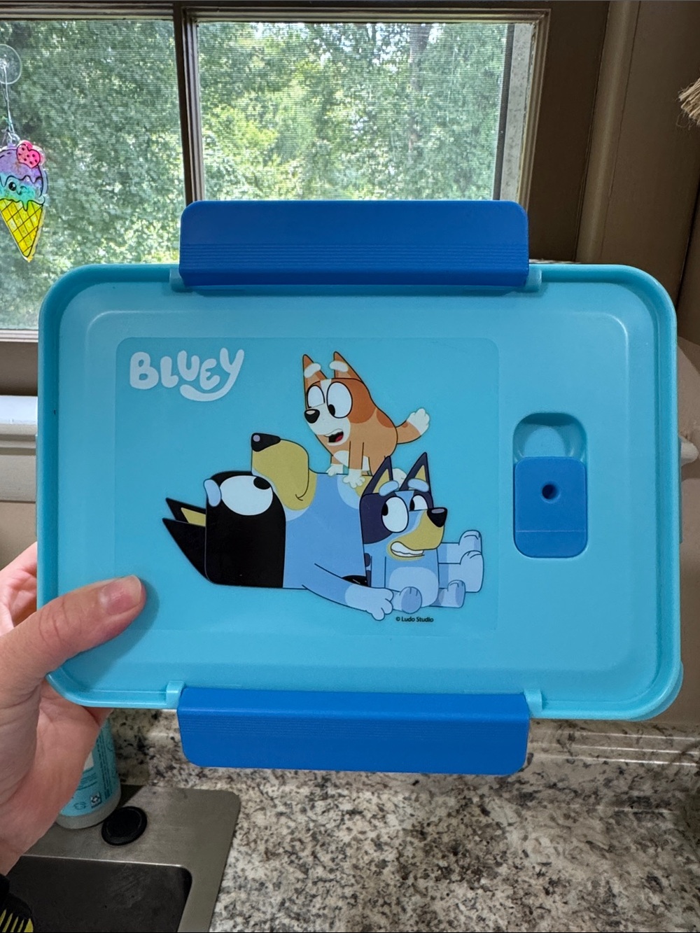 Bluey Bento Box